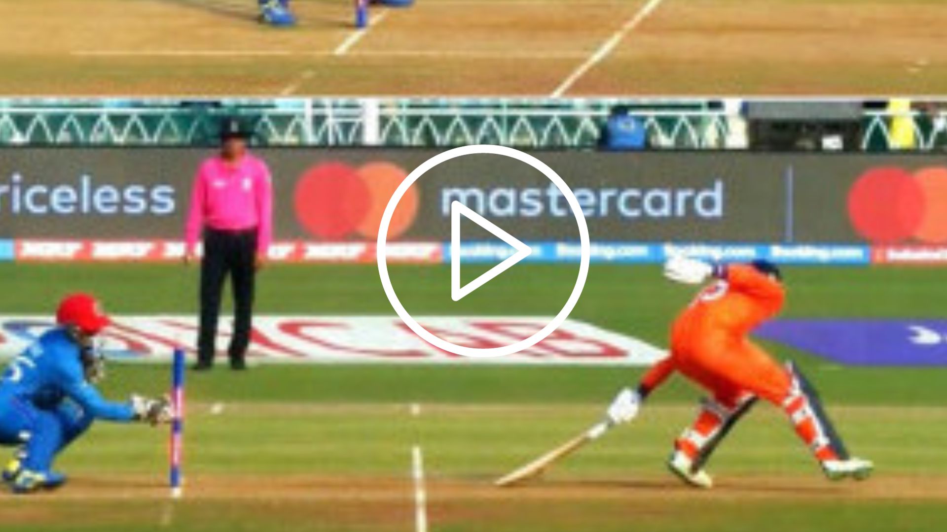 [Watch] Lightning Fast Stumping Sends Netherlands Skipper Scott Edwards Back For A Golden Duck